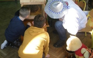 Uczniowie oglądają pszczoły w szklanym ulu.