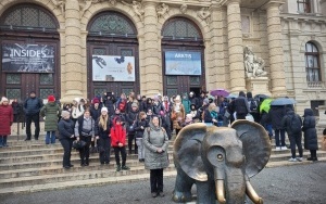 Uczestnicy wycieczki przed Muzeum Historii Naturalnej 